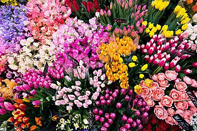 《全面战争：战锤3》费斯图斯介绍 8月23日上线