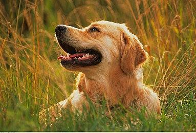 腾讯Q币充值大面积取消97折优惠 网友：氪金欲望没了